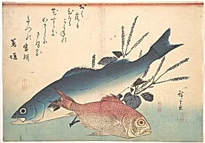 魚づくし　いなだ　ふぐに梅|Suzuki and Kinmedai Fish from the series Uozukushi (Every Variety of Fish) by Utagawa Hiroshige