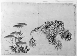 Toad and Flowers