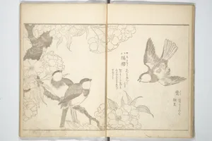 花鳥写真図彙; 花鳥写真図会(かちょうえ しゃしん ずえ)|True Depictions of Bird and Flower Pictures (Kachōe shashin zui) 花鳥写真図彙; 花鳥写真図会(かちょうえ しゃしん ずえ)
