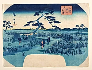 View of Iris Gardens at Horikiri