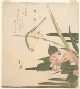 Warbler and Camellia