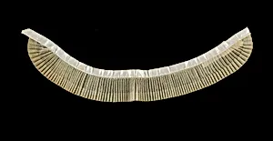 Collar