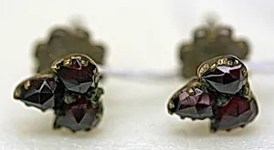 Pierced earrings