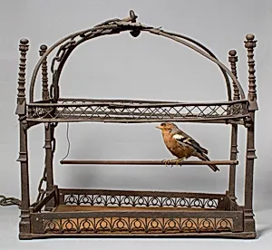 Birdcage