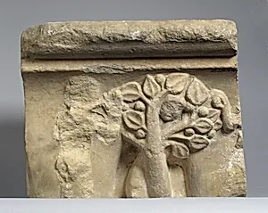 Double Capital Fragment