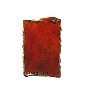 Glass Fragment