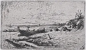 A boat near the shoreline of a beach or a river