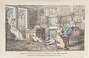 A Brace of Full-grown Puppies: or My Dog and Me by Thomas Rowlandson|Longman, Hurst, Rees and Orme|John Britton