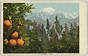 A California Anomaly, Snow and Oranges, Pasadena, California, No. 7782 by Detroit Publishing Company
