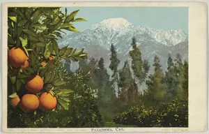 A California Anomaly, Snow and Oranges, Pasadena, California, No. 7782