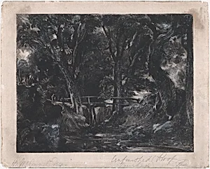 A Dell, Helmingham Park, Suffolk