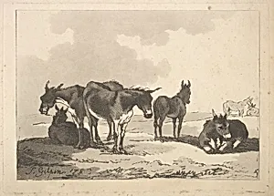 A Group of Five Donkeys, Three Standing, Two Lying