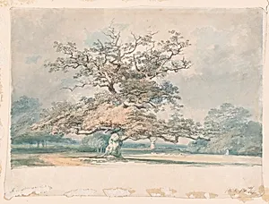 A Landscape with an Old Oak (or Beech) Tree