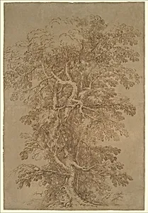A Large Tree