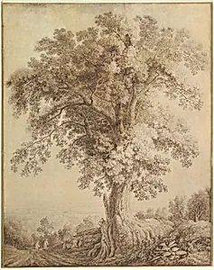 A Large Tree at Albano