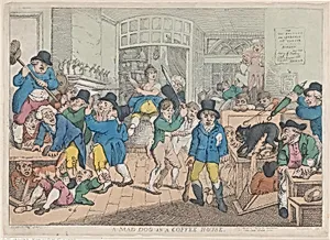 A Mad Dog in a Coffee House by Thomas Rowlandson