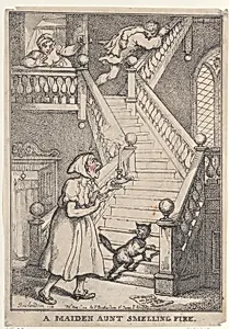A Maiden Aunt Smelling Fire by Thomas Rowlandson