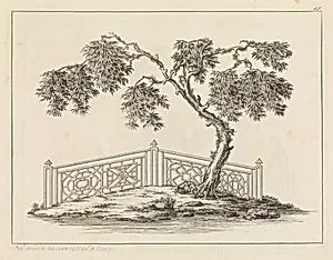 A New Book of Chinese Designs