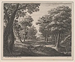 A Path Through the Woods