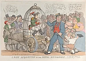 A Rare Acquisition to the Royal Menagerie by Napoléon Bonaparte|Thomas Rowlandson|Rudolph Ackermann, London