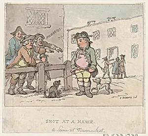 A Scene at Newmarket: A Shot at a Hawk [Pigeon] by Thomas Rowlandson|Henry William Bunbury
