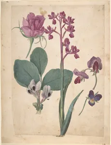 A Sheet of Studies of Flowers: A Rose, a Heartsease, a Sweet Pea, a Garden Pea, and a Lax-flowered Orchid