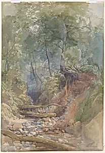 A Stream Near Clovelly, North Devon