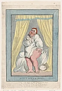 A Tit Bit for the Bugs by Thomas Rowlandson|S. W. Fores|George Murgatroyd Woodward