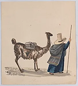 A woman walking with a Llama, from a group of drawings depicting Peruvian dress by Francisco (Pancho) Fierro