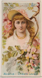 Acacia: Chaste Love, from the series Floral Beauties and Language of Flowers (N75) for Duke brand cigarettes