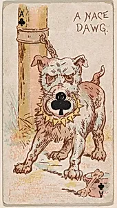 Ace of Clubs, A Nace Dawg, from Harlequin Cards, 2nd Series (N220) issued by Kinney Bros. by Kinney Brothers Tobacco Company