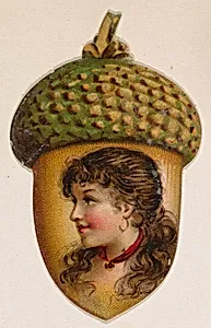 Acorn, from the Novelties series (N228, Type 3) issued by Kinney Bros. by Kinney Brothers Tobacco Company