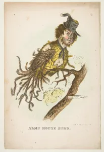 Alms House Bird, from The Comic Natural History of the Human Race