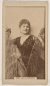 Amy Williamson, from the Actresses series (N245) issued by Kinney Brothers to promote Sweet Caporal Cigarettes by Kinney Brothers Tobacco Company
