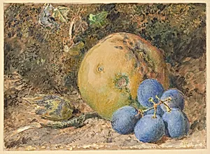 An Apple, Grapes and a Hazelnut on a Mossy Bank
