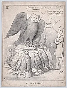 An Irish Howl [Owl]!