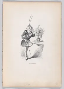 "An Old Butterfly" from Scenes from the Private and Public Life of Animals