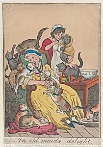 An Old Maid's Delight by Thomas Rowlandson