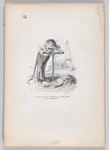"And a very obstinate vole..." from Scenes from the Private and Public Life of Animals