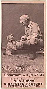Arthur "Art" Wilson Whitney, 3rd Base, New York, from the Old Judge series (N172) for Old Judge Cigarettes by Goodwin & Company