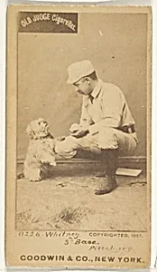 Arthur "Art" Wilson Whitney, 3rd Base, Pittsburgh, from the Old Judge series (N172) for Old Judge Cigarettes by Goodwin & Company