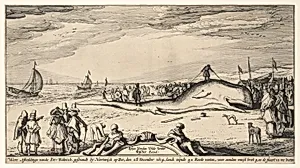 Beached Sperm Whale at Noordwijk, 28 December 1614