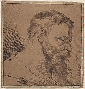 Bearded Head, Looking Down to the Right