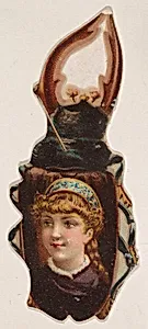 Beetle, from the Novelties series (N228, Type 3) issued by Kinney Bros. by Kinney Brothers Tobacco Company