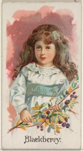 Blackberry, from the Fruits series (N12) for Allen & Ginter Cigarettes Brands