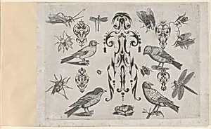 Blackwork Designs with Birds and Insects, Plate 2 from a Series of Blackwork Ornaments combined with figures, birds, animals and flowers by Jakob Hoefnagel|Jacques Callot|Meinert Gelijs