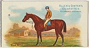 Blue Wing, from The World's Racers series (N32) for Allen & Ginter Cigarettes by Allen & Ginter|Lindner, Eddy & Claus