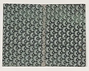 Book cover with overall green and black abstract pattern by Anonymous