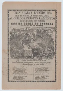 Broadsheet with a ballad addressing poverty, woman sitting in a field of flowers with a duck that has a human's head