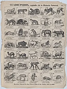 Broadside with 36 images of quadrupeds (animals)